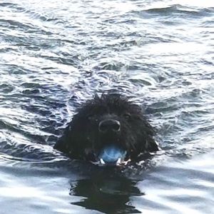 Meet your Posher, Kellie